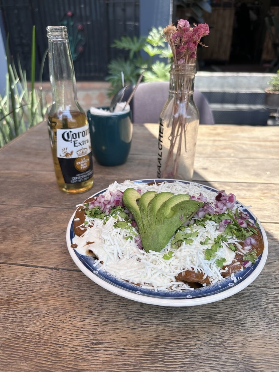 Vegan food in Roma Norte Mexico City — enchiladas topped with avocado, vegan cheese, and red onion
